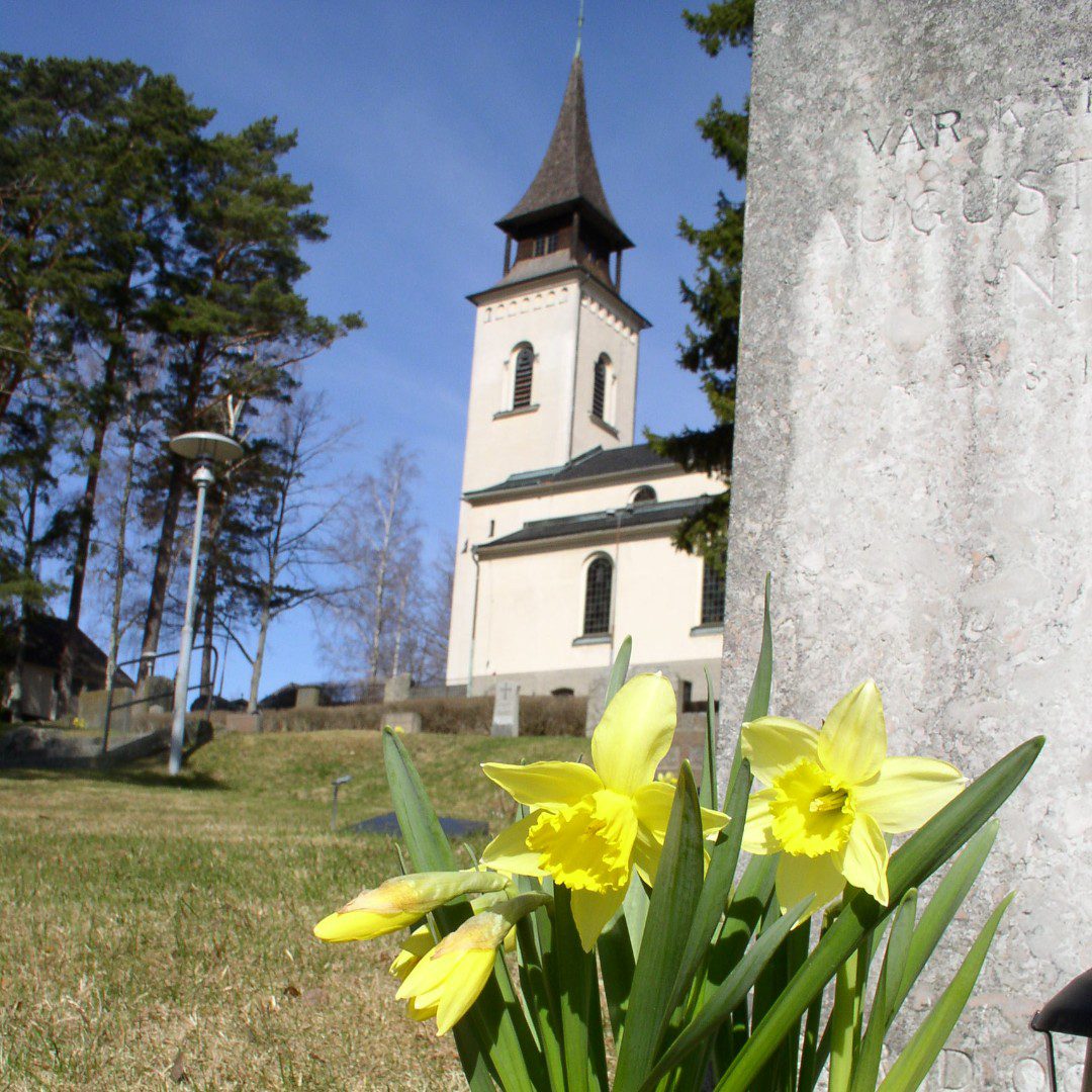 Boo kyrka med påsklilja Boo kyrka med påsklilja